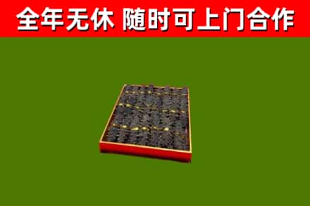 菏泽回收海参